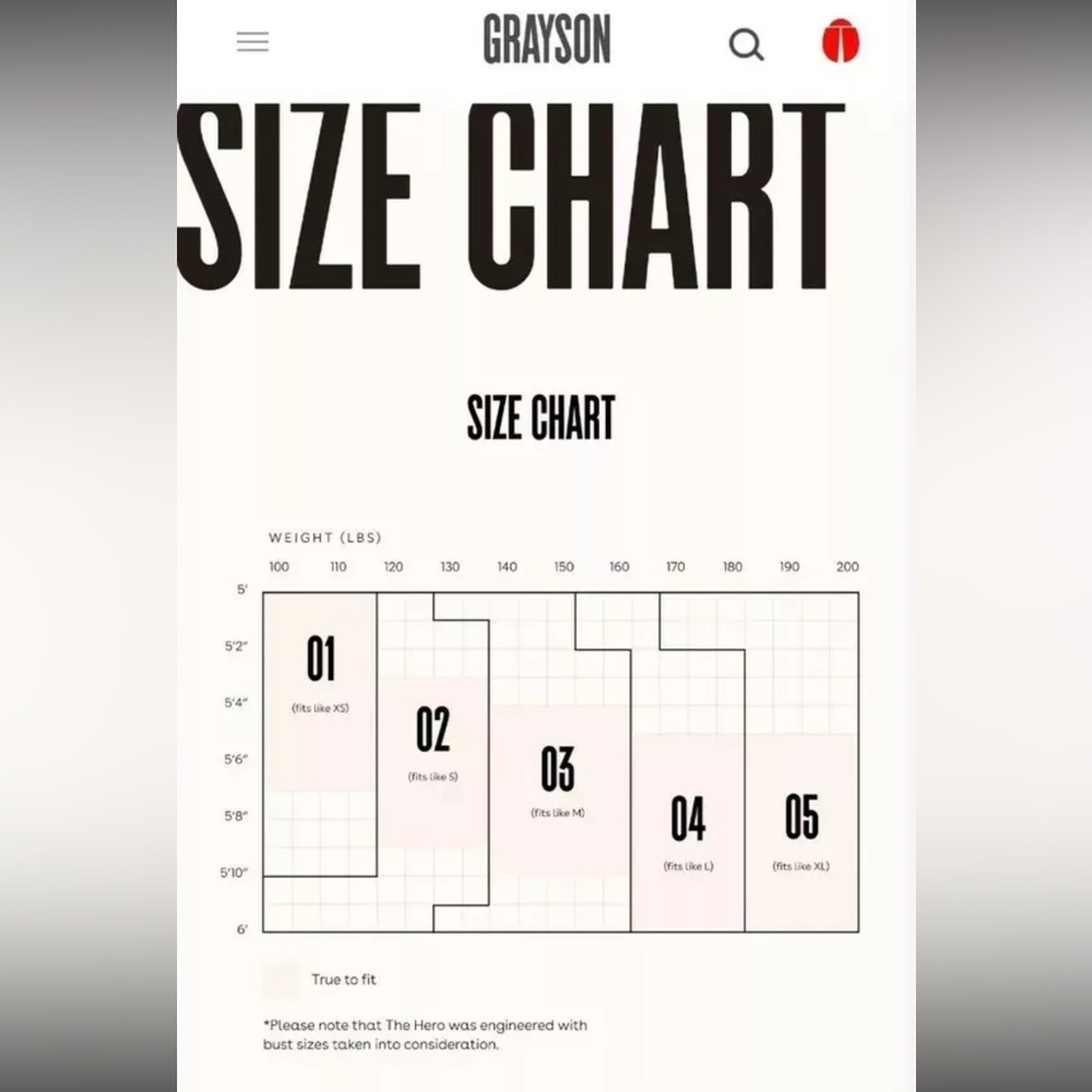 Grayson The Hero Button Down Gingham Multicolor S… - image 2